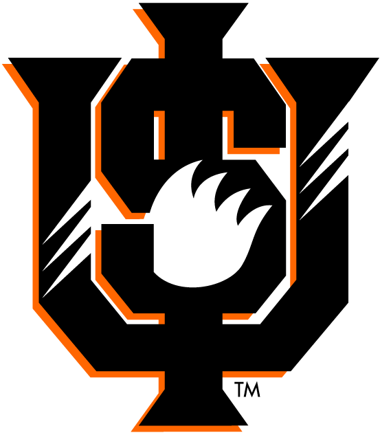 Idaho State Bengals 1997-2018 Alternate Logo DIY iron on transfer (heat transfer)